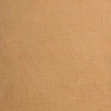 BLOCKX Oil Tube 20ml S1 146 Brown Ochre Light - Cafe Supply