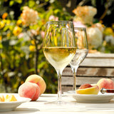 Stolzle Ultra White Wine  375ml  Set 6 - Cafe Supply