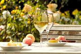 Stolzle Ultra White Wine  375ml  Set 6 - Cafe Supply
