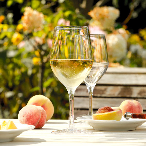 Stolzle Ultra White Wine 305ml  Set 6 - Cafe Supply