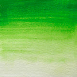 BLOCKX Watercolour Tube 15ml S3 361 Sap Green - Cafe Supply