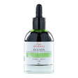 Jacques Herbin Eclats Watercolour Ink 530 Anise Green 50ml - Cafe Supply