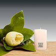 'W' Unscented Range Candles - Cafe Supply