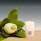 'W' Unscented Range Candles - Cafe Supply