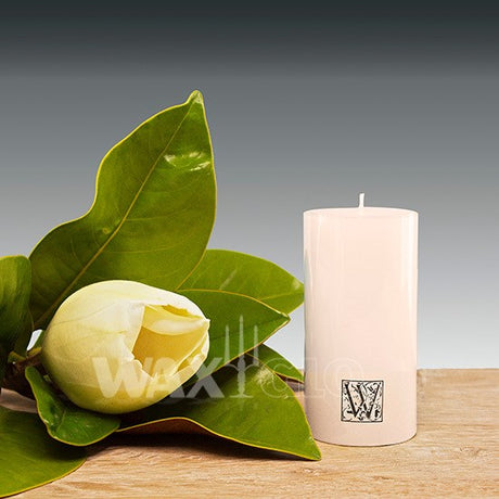 'W' Unscented Range Candles - Cafe Supply