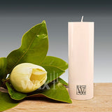 'W' Unscented Range Candles - Cafe Supply