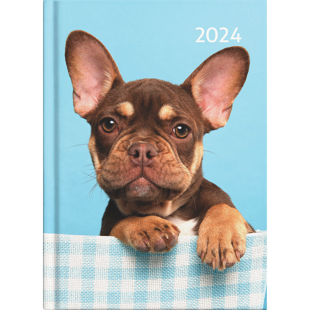 Collins Diary A53 Cats & Dogs Even Year - Cafe Supply