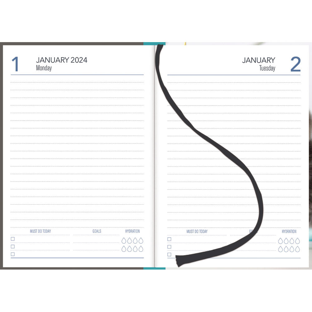 Collins A51 Cats & Dogs Day to Page Diary Even Year - Cafe Supply