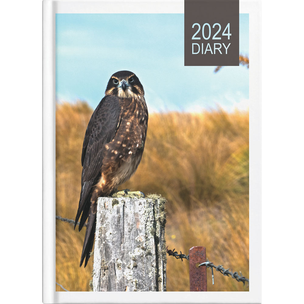 Collins A53 NZ Birds Week to View Diary Even Year - Cafe Supply