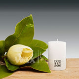 'W' Unscented Range Candles - Cafe Supply