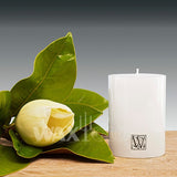 'W' Unscented Range Candles - Cafe Supply