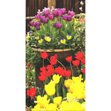 Collins Diary CW7 Notes Floral Even Year - Cafe Supply