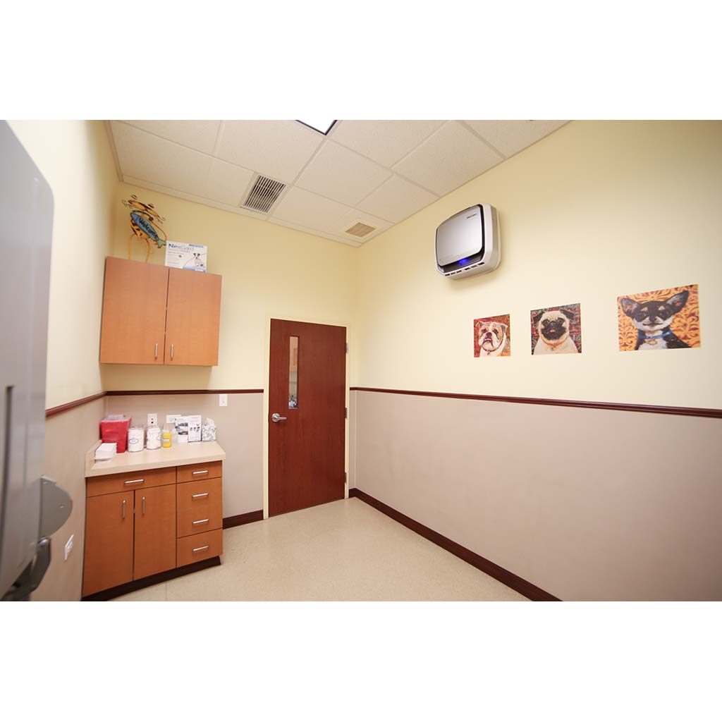 AeraMax PRO AM3 Commercial Air Purifier Wall Mountable - Cafe Supply