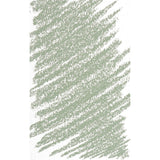 BLOCKX Soft Pastel 655 Chrome Green Shade 5 - Cafe Supply