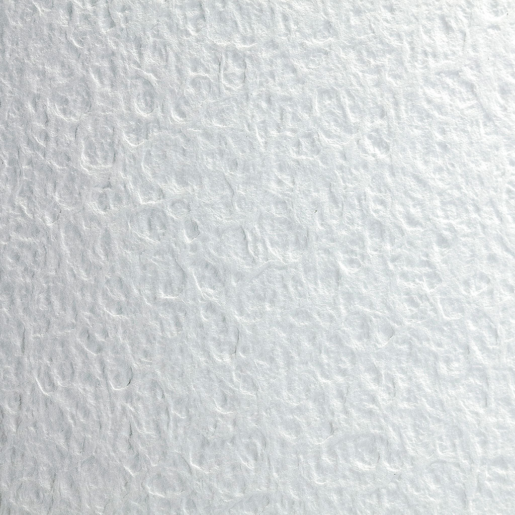 Flamboyant Paper 56x76cm 300g, Pack of 10 - Cafe Supply