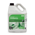 Kemsol Hair & Body Shampoo Green 5L - Cafe Supply