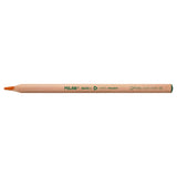 Milan Coloured Pencils Triangular Maxi Pack 12 Assorted Colours - Cafe Supply