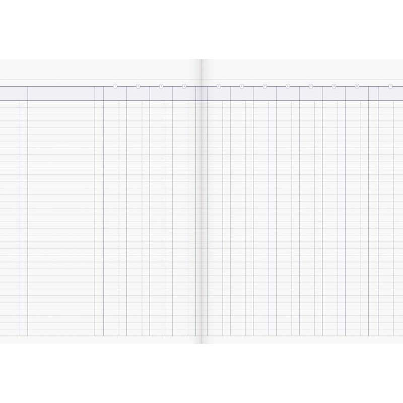 Milford A4 12 Money Column 26 Leaf Limp Analysis Book - Cafe Supply