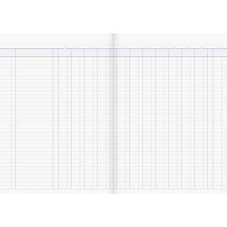 Milford A4 12 Money Column 26 Leaf Limp Analysis Book - Cafe Supply