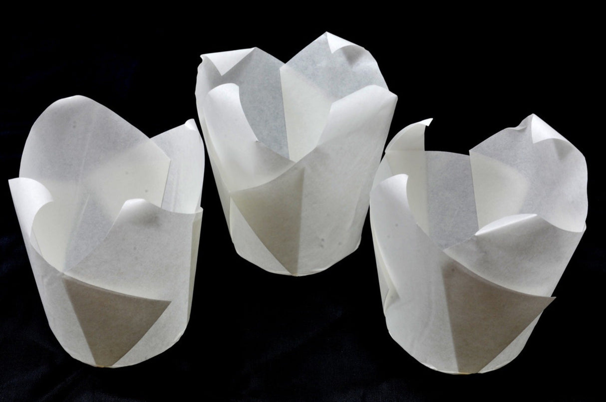 White Folded Cups 150x50mm (200) - Cafe Supply