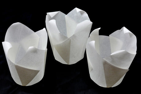 White Folded Cups 150x50mm (200) - Cafe Supply