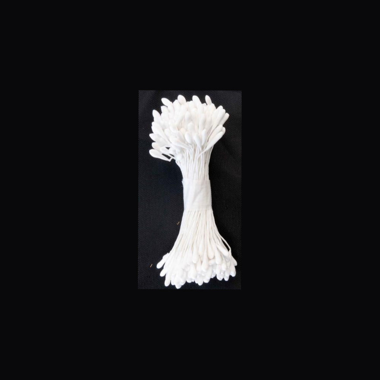 Medium Stamen White (144) - Cafe Supply