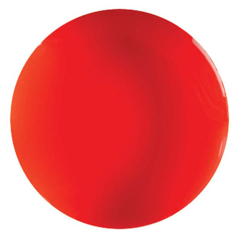 EC Paint Rainbow Fluoro Scarlet 250ml - Cafe Supply