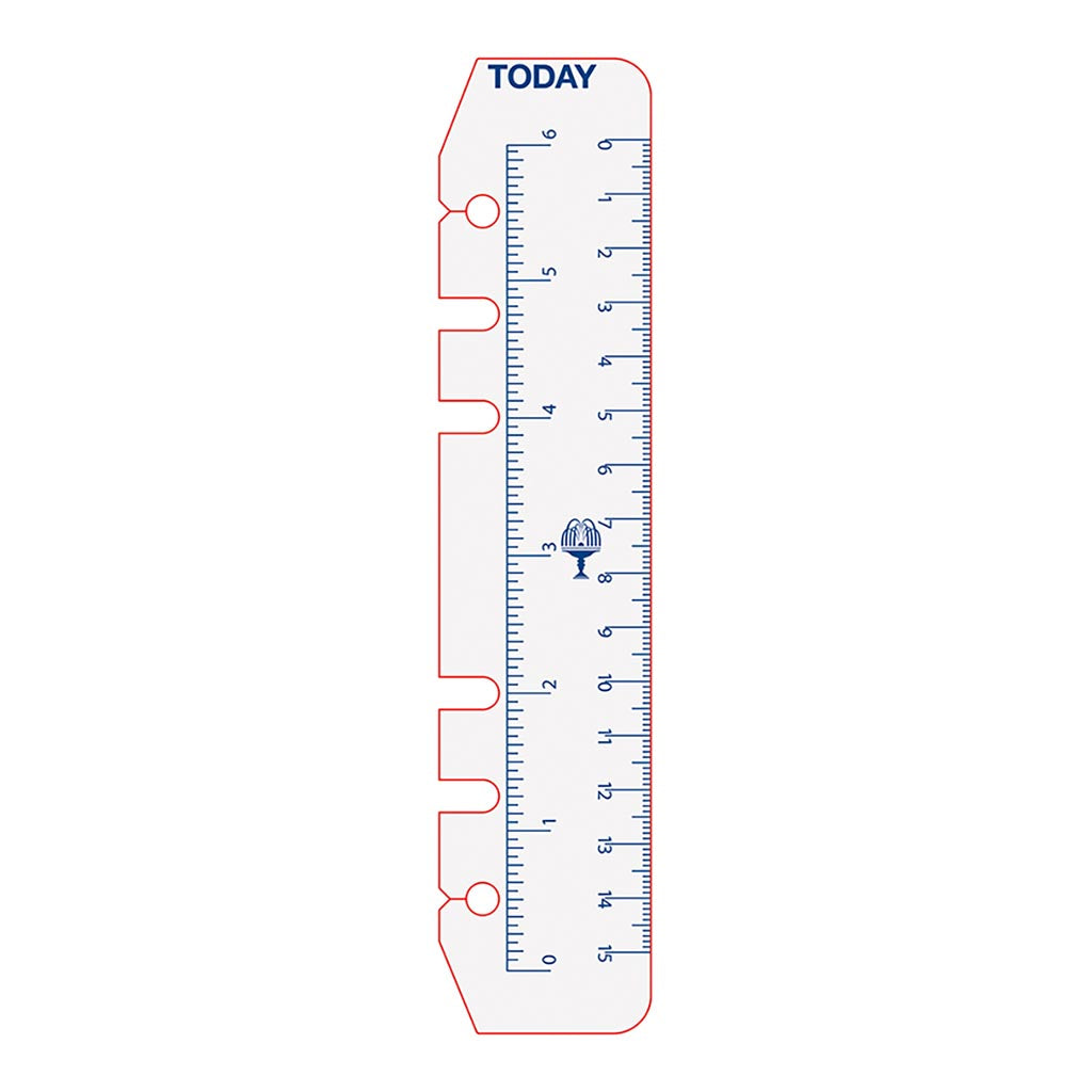 Debden Personal Dayplanner Today Ruler, Pack of 2 - Cafe Supply