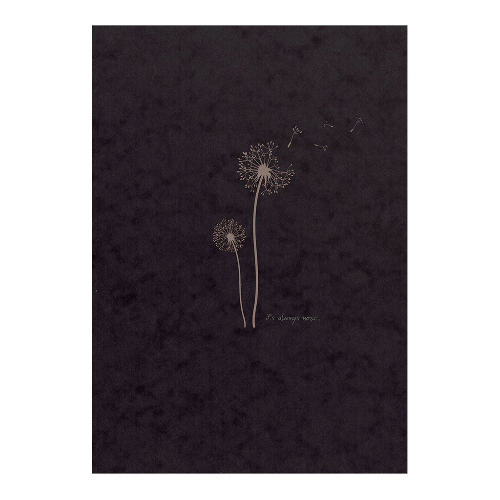 Flying Spirit Sketch Book 19x25cm Black - Cafe Supply