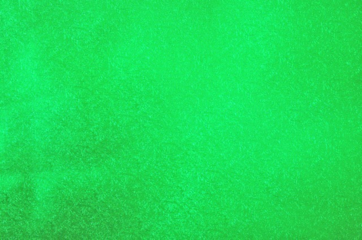Cakeboard Paper Fern Leaf Green 510mm (10m) - Cafe Supply