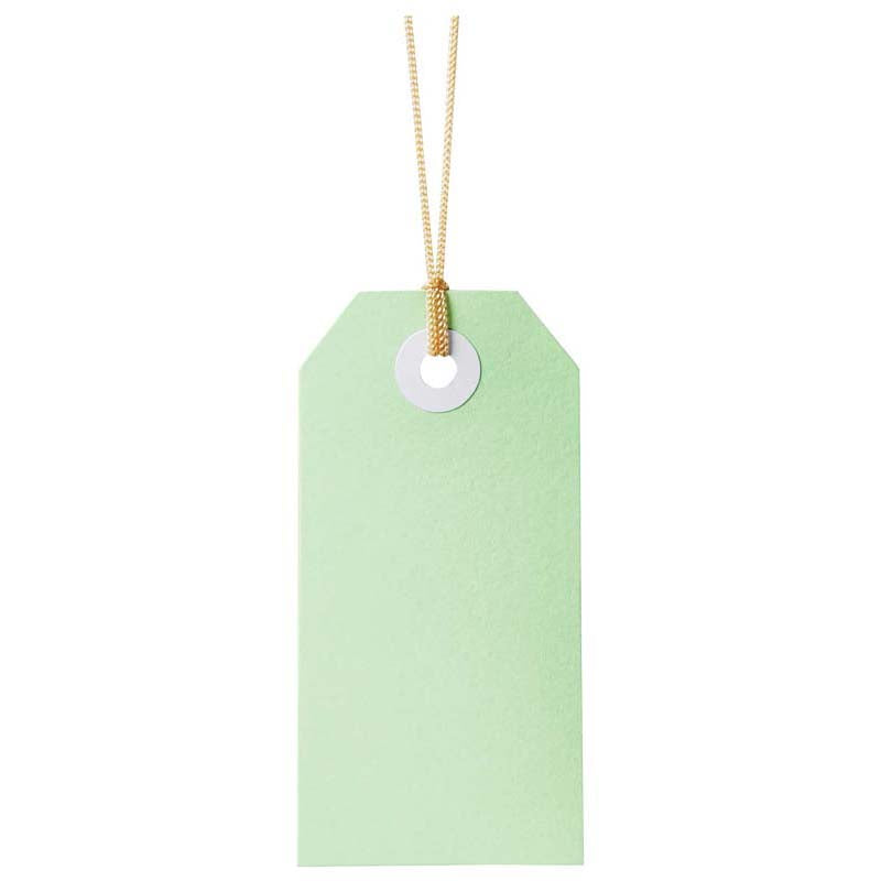 Avery Tag-It Pastel Green 24 Pack 48x96mm - Cafe Supply