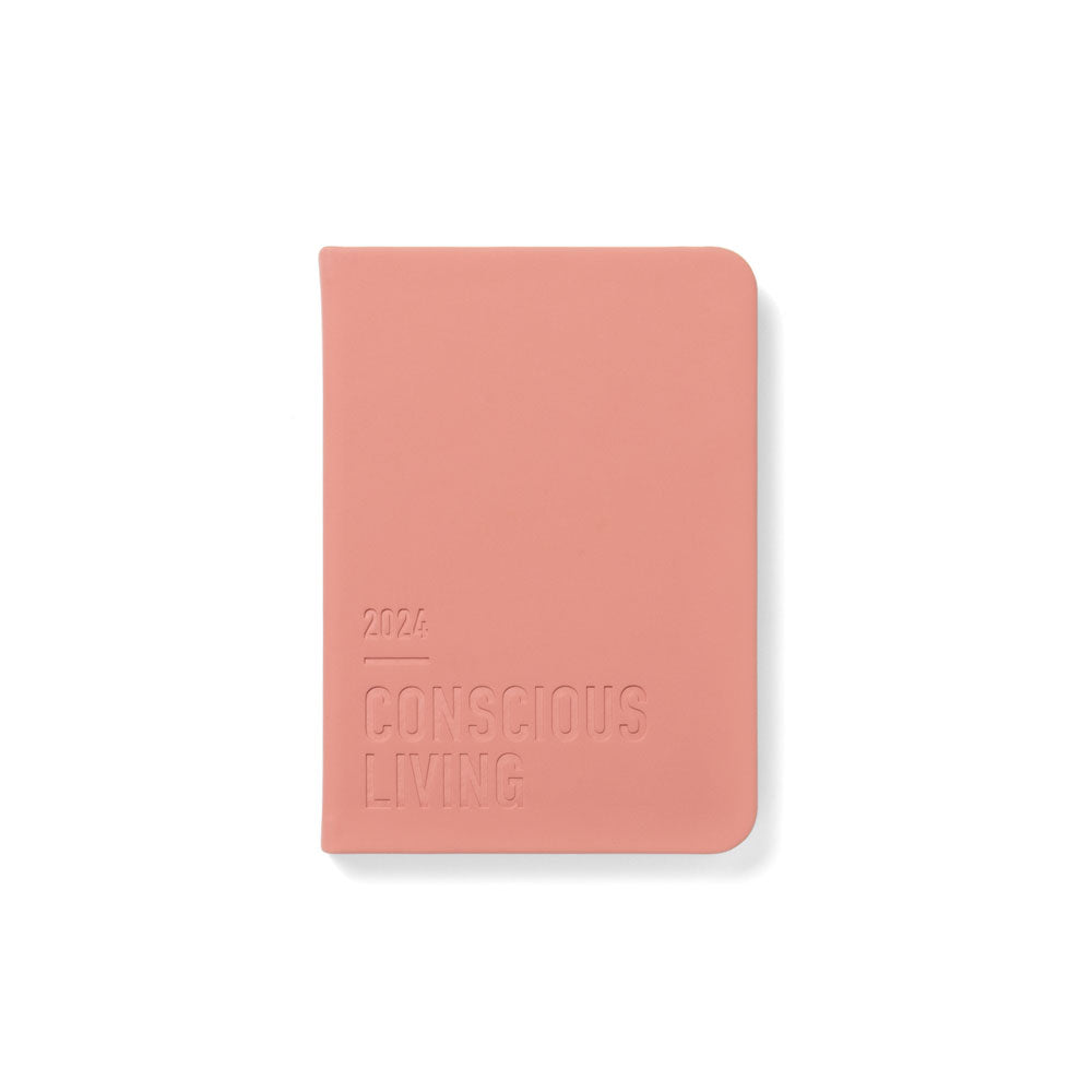 Letts of London Diary Conscious A6 Day to Page Clay Even Year