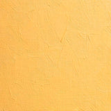 BLOCKX Oil Tube 20ml S4 215 Brilliant Yellow Deep
