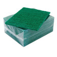 Green Scourer Pads 10pk - Cafe Supply