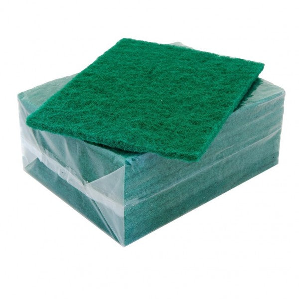 Green Scourer Pads 10pk - Cafe Supply