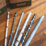 10mm Jumbo Art Series BioStraw - Cafe Supply
