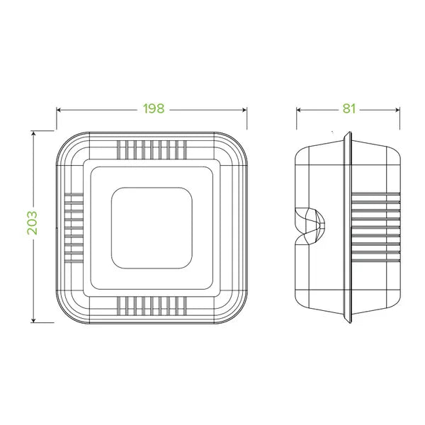 20x22x9cm / 7.8x8x3in White Plant Fibre Clamshell - Cafe Supply