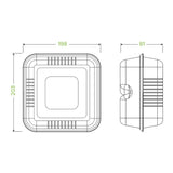 20x22x9cm / 7.8x8x3in White Plant Fibre Clamshell - Cafe Supply