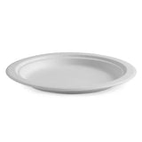 23cm / 9" Round Plant Fibre Plates - Cafe Supply