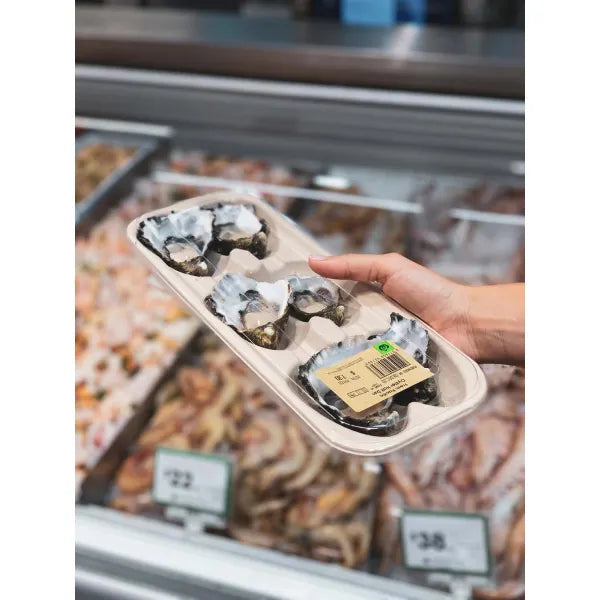 Plant Fibre Oyster Tray Base - Cafe Supply
