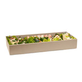 Large BioBoard Catering Tray Base - Cafe Supply