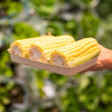 480g Plant Fibre Produce Tray - Cafe Supply