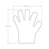 Medium Compostable Glove - Cafe Supply