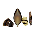 Choc Dec-Assortment Box (450gm) - Cafe Supply