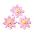 Icing Pink Daisy, 35mm. Box of 120 - Cafe Supply