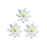 Icing White Daisy, 35mm. Box of 120 - Cafe Supply