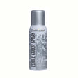 Chefmaster Edible Silver Spray - 1.5oz - Cafe Supply