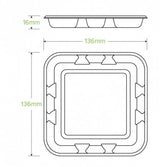 14X14X2CM / 5X5” BIOCANE PRODUCE TRAY - Cafe Supply