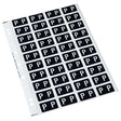 Codafile Label Alpha P 25mm Pack 5 Sheets - Cafe Supply