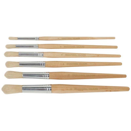 EC Brushes Hog Hair Round Pack 60 - Cafe Supply